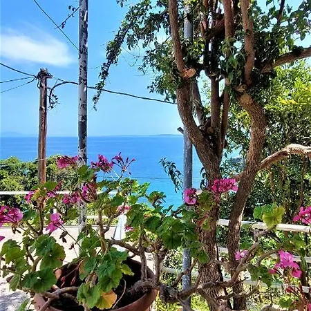 Appartement House Lana Perama (Corfu)