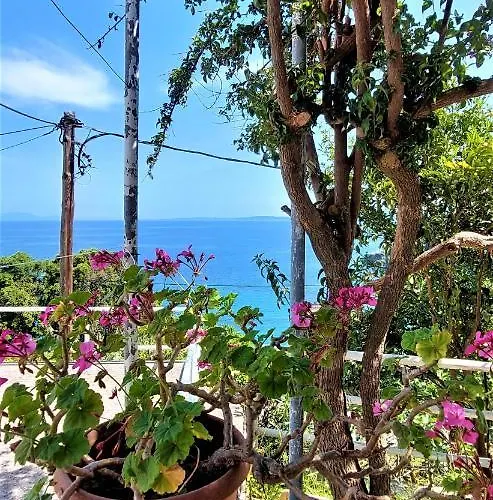 Apartament House Lana Perama (Corfu)